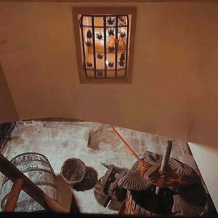 Hébergement de vacances Dimora Bacchus